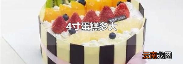 4寸蛋糕多大