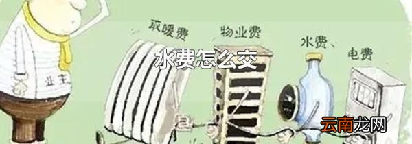 水费怎么交
