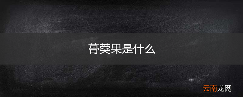 蓇葖果是什么