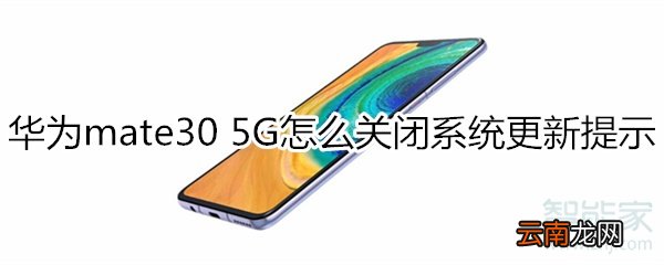 华为mate30 5G版怎么关闭系统更新提示
