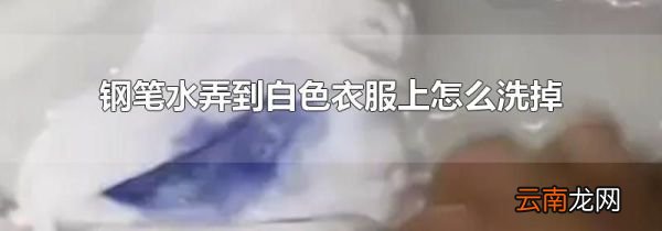 钢笔水弄到白色衣服上怎么洗掉