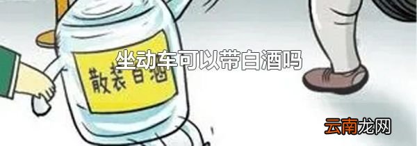 坐动车可以带白酒吗