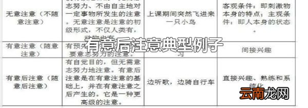 有意后注意典型例子