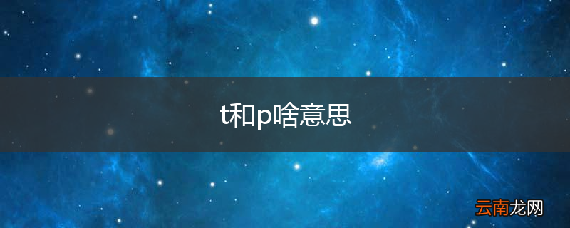 t和p啥意思