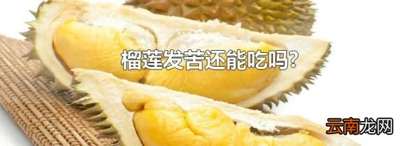 榴莲发苦还能吃吗?