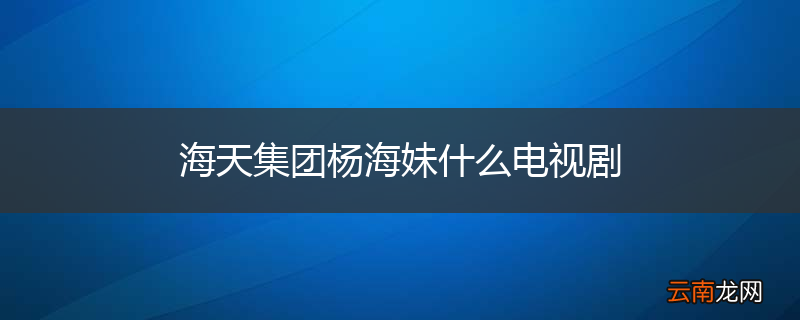 海天集团杨海妹什么电视剧