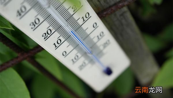 液体温度计是根据什么的性质制成 液体温度计是根据啥的性质制成