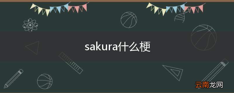 sakura什么梗