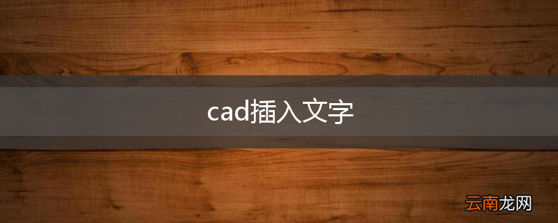 cad插入文字
