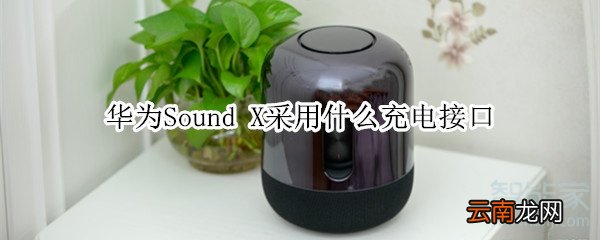 华为Sound X采用什么充电接口