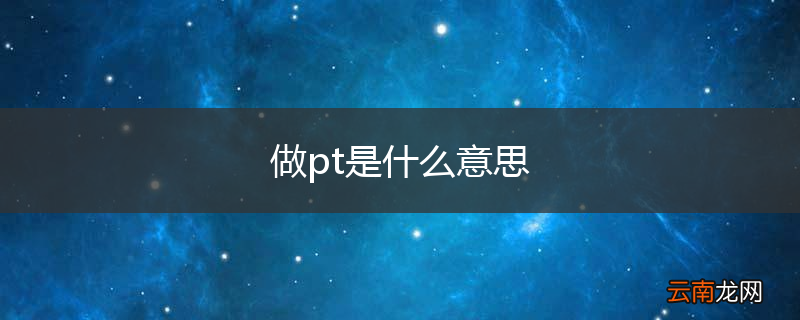 做pt是什么意思