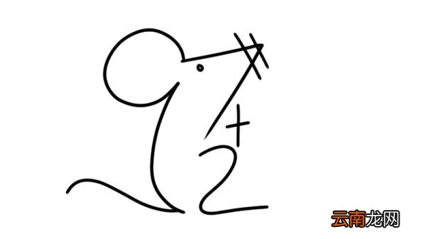 老鼠数字简笔画 老鼠的简单画法