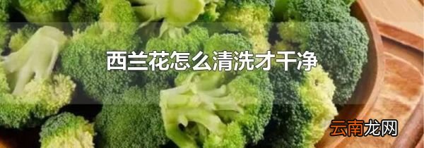 西兰花怎么清洗才干净