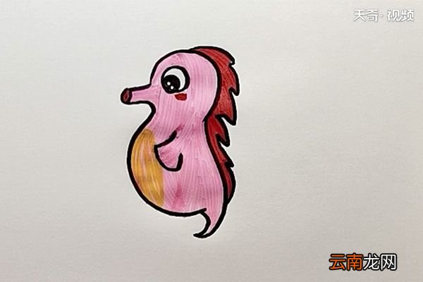 海马简笔画
