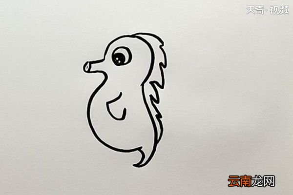 海马简笔画
