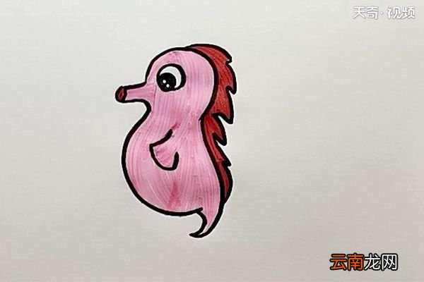 海马简笔画