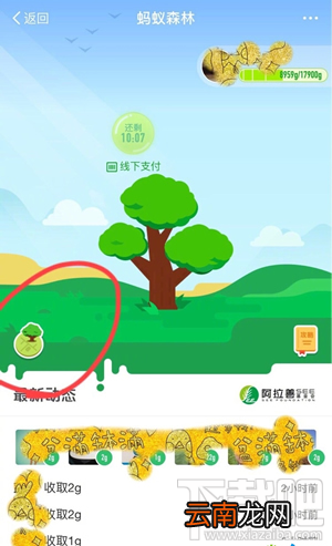 支付宝蚂蚁森林地图怎么进入？蚂蚁森林模拟地图入口在哪