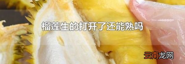 榴莲生的打开了还能熟吗