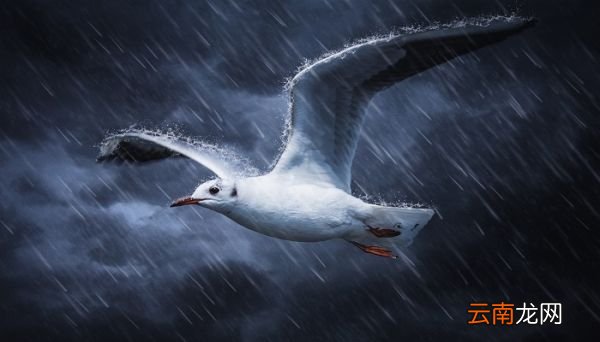 暴雨的说说发朋友圈 下暴雨怎么发朋友圈