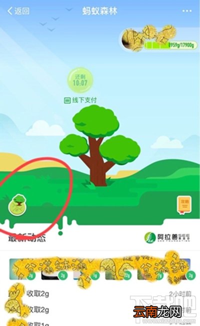 蚂蚁森林模拟地图从哪进？