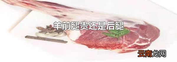 羊前腿贵还是后腿
