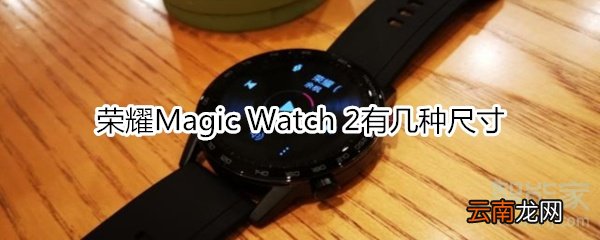 荣耀Magic Watch 2有几种尺寸
