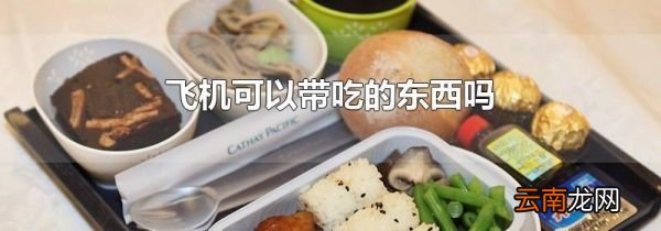 飞机可以带吃的东西吗