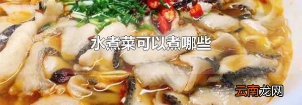 水煮菜可以煮哪些