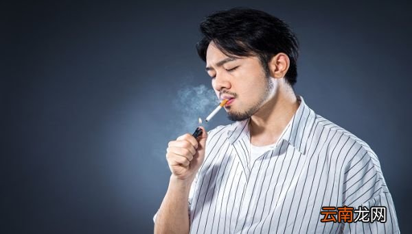 一条煊赫门是几盒 一条煊赫门几包