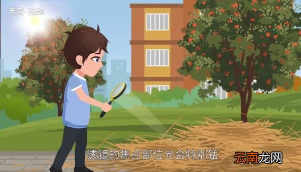 什么东西不能用放大镜放大 什么东西不能用放大镜看
