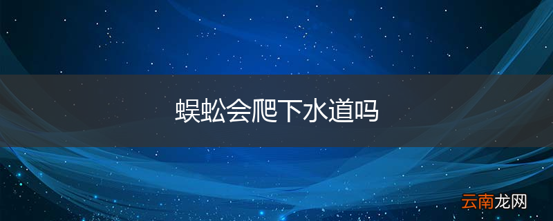 蜈蚣会爬下水道吗
