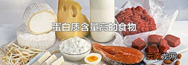 蛋白质含量高的食物