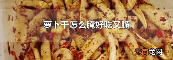 萝卜干怎么腌好吃又脆