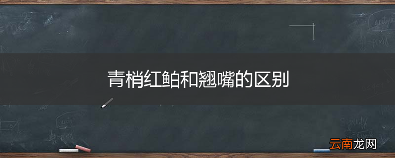 青梢红鲌和翘嘴的区别