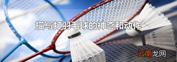 描写打羽毛球的神态和动作