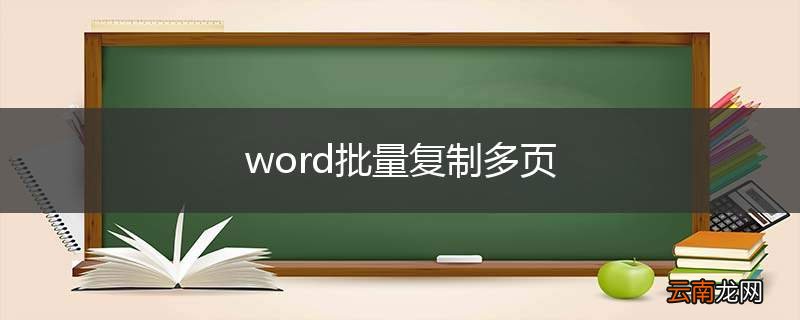 word批量复制多页