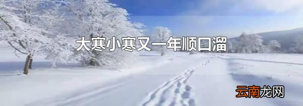 大寒小寒又一年顺口溜