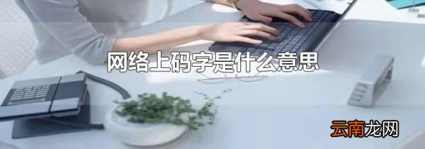 网络上码字是什么意思