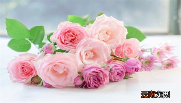 99朵玫瑰代表什么意思 99朵玫瑰什么意思
