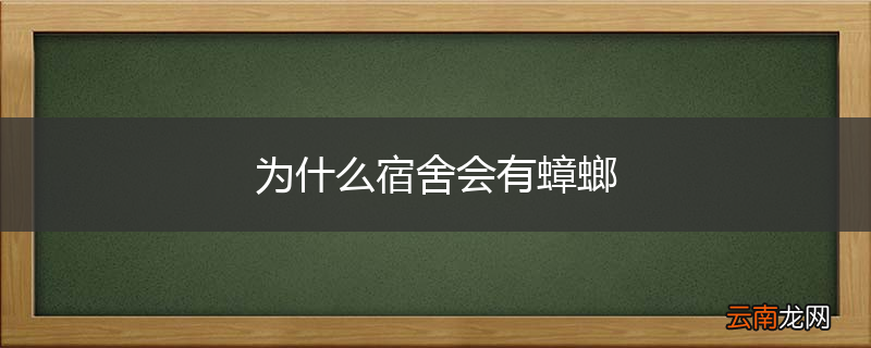 为什么宿舍会有蟑螂