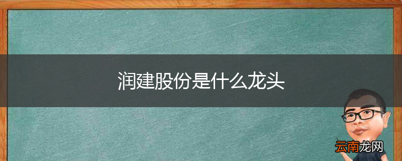 润建股份是什么龙头