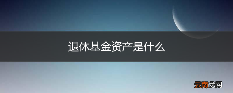 退休基金资产是什么