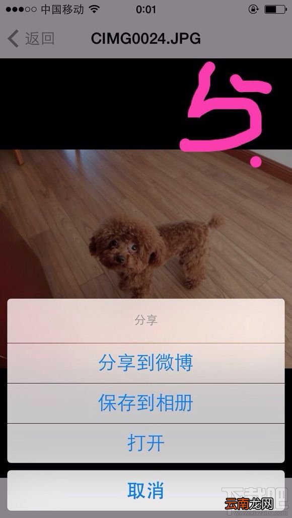 东芝wifi卡怎么使用?东芝wifi卡使用教程