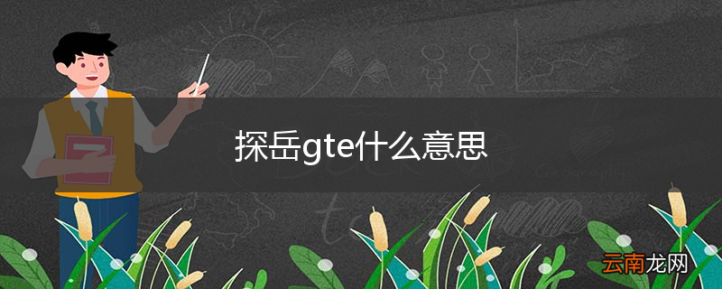 探岳gte什么意思