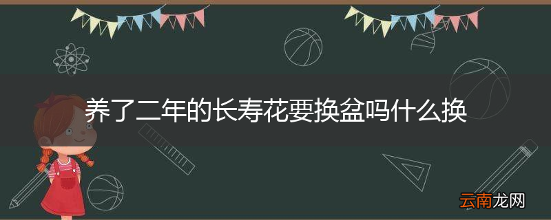 养了二年的长寿花要换盆吗什么换