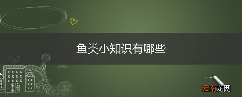 鱼类小知识有哪些