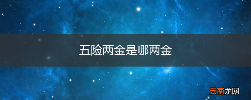 五险两金是哪两金