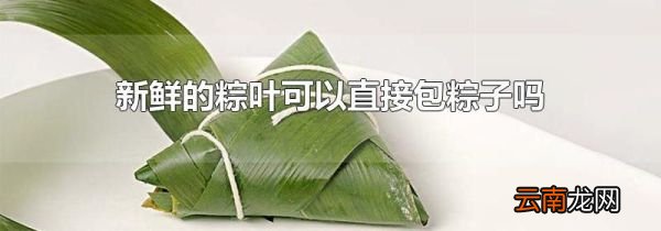 新鲜的粽叶可以直接包粽子吗