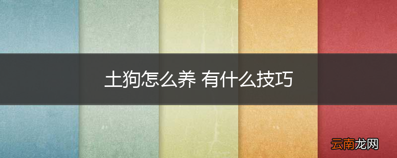 土狗怎么养 有什么技巧