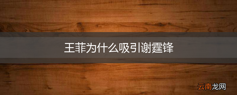 王菲为什么吸引谢霆锋